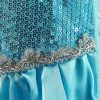 Frozen jurk Elsa met sleep